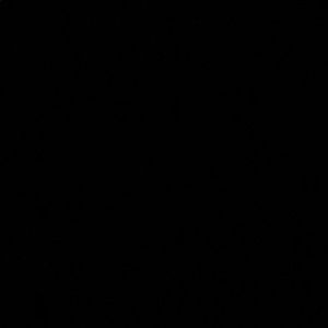 Meet your Posher, Lorie